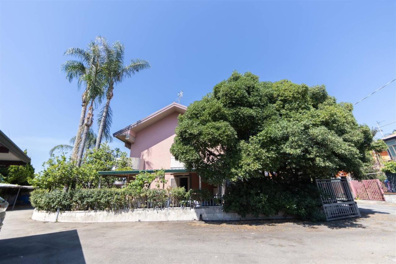 马斯卡利Villino Con Giardino Terrazzo E Parcheggio Privato公寓 外观 照片